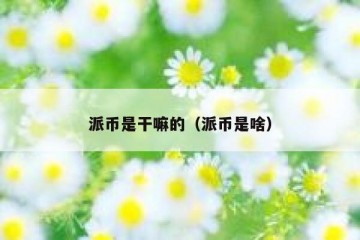 派币是干嘛的（派币是啥）