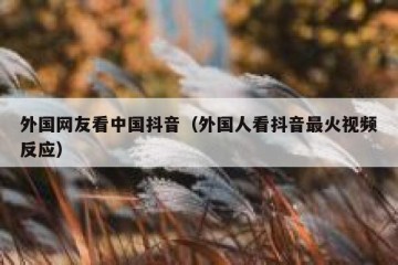 外国网友看中国抖音（外国人看抖音最火视频反应）