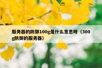 服务器的防御100g是什么意思呀（300g防御的服务器）