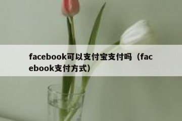 facebook可以支付宝支付吗（facebook支付方式）