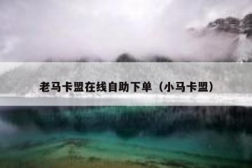 老马卡盟在线自助下单（小马卡盟）