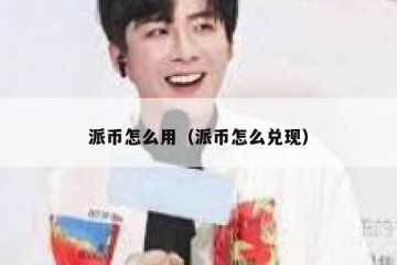 派币怎么用（派币怎么兑现）