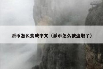 派币怎么变成中文（派币怎么被盗取了）