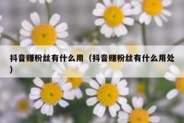 抖音赚粉丝有什么用（抖音赚粉丝有什么用处）