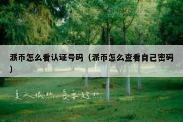 派币怎么看认证号码（派币怎么查看自己密码）