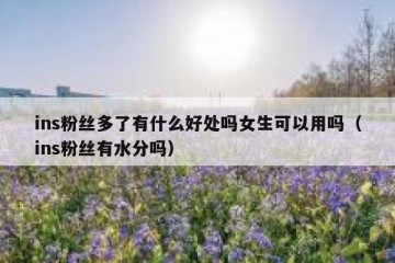 ins粉丝多了有什么好处吗女生可以用吗（ins粉丝有水分吗）