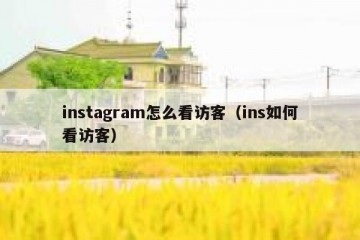 instagram怎么看访客（ins如何看访客）