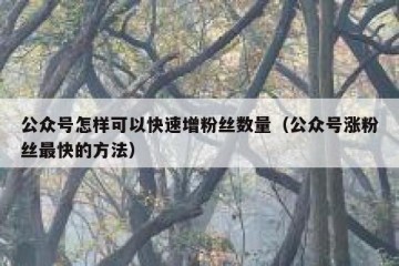 公众号怎样可以快速增粉丝数量（公众号涨粉丝最快的方法）