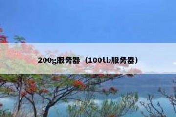 200g服务器（100tb服务器）