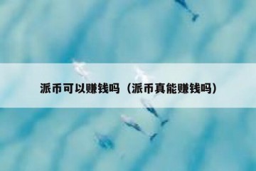 派币可以赚钱吗（派币真能赚钱吗）