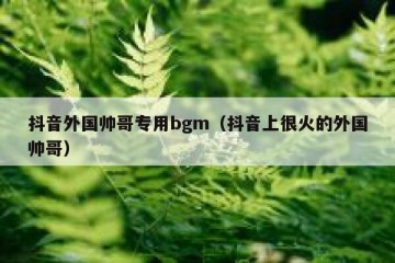 抖音外国帅哥专用bgm（抖音上很火的外国帅哥）