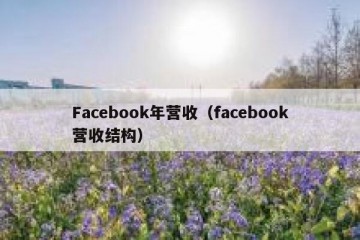 Facebook年营收（facebook营收结构）