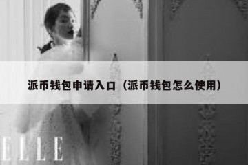 派币钱包申请入口（派币钱包怎么使用）