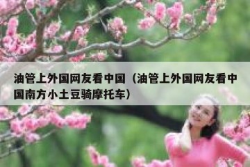 油管上外国网友看中国（油管上外国网友看中国南方小土豆骑摩托车）