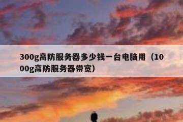 300g高防服务器多少钱一台电脑用（1000g高防服务器带宽）