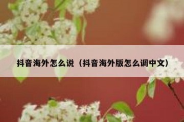 抖音海外怎么说（抖音海外版怎么调中文）