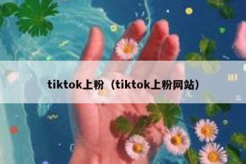 tiktok上粉（tiktok上粉网站）