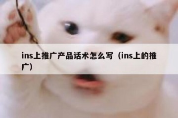 ins上推广产品话术怎么写（ins上的推广）