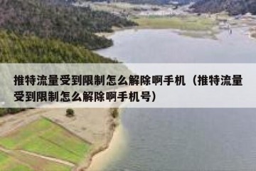 推特流量受到限制怎么解除啊手机（推特流量受到限制怎么解除啊手机号）