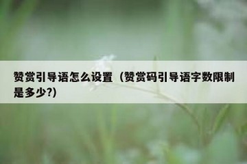 赞赏引导语怎么设置（赞赏码引导语字数限制是多少?）