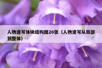 人物速写体块结构图20张（人物速写从局部到整体）