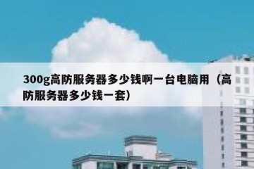 300g高防服务器多少钱啊一台电脑用（高防服务器多少钱一套）