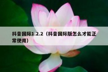 抖音国际1.2.2（抖音国际版怎么才能正常使用）
