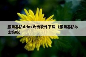 服务器防ddos攻击软件下载（服务器防攻击策略）