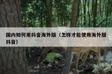 国内如何用抖音海外版（怎样才能使用海外版抖音）