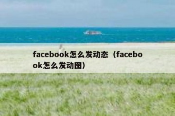 facebook怎么发动态（facebook怎么发动图）