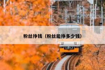 粉丝挣钱（粉丝能挣多少钱）