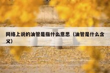 网络上说的油管是指什么意思（油管是什么含义）