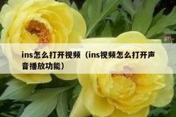 ins怎么打开视频（ins视频怎么打开声音播放功能）