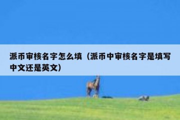 派币审核名字怎么填（派币中审核名字是填写中文还是英文）