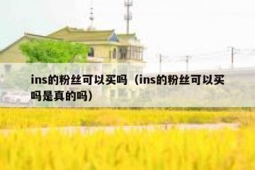 ins的粉丝可以买吗（ins的粉丝可以买吗是真的吗）