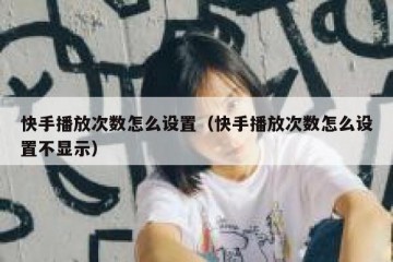 快手播放次数怎么设置（快手播放次数怎么设置不显示）