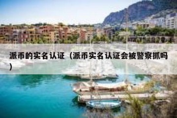 派币的实名认证（派币实名认证会被警察抓吗）