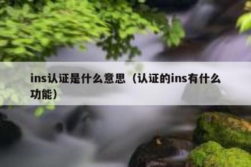 ins认证是什么意思（认证的ins有什么功能）