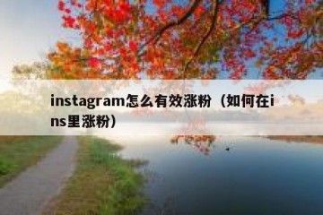 instagram怎么有效涨粉（如何在ins里涨粉）