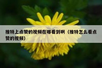 推特上点赞的视频在哪看到啊（推特怎么看点赞的视频）