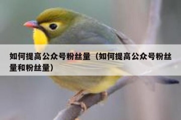 如何提高公众号粉丝量（如何提高公众号粉丝量和粉丝量）