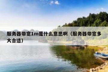 服务器带宽1m是什么意思啊（服务器带宽多大合适）