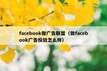 facebook做广告联盟（做facebook广告投放怎么样）