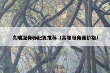 高端服务器配置推荐（高端服务器价格）