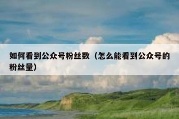 如何看到公众号粉丝数（怎么能看到公众号的粉丝量）
