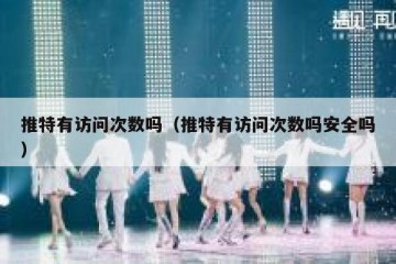 推特有访问次数吗（推特有访问次数吗安全吗）