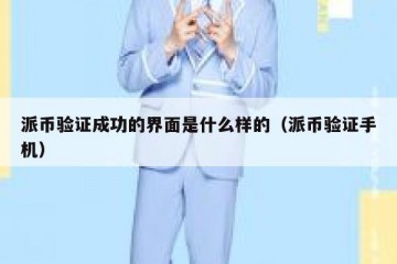 派币验证成功的界面是什么样的（派币验证手机）