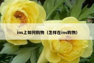 ins上如何购物（怎样在ins购物）