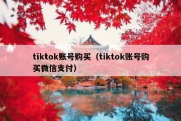 tiktok账号购买（tiktok账号购买微信支付）