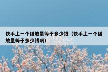 快手上一个播放量等于多少钱（快手上一个播放量等于多少钱啊）